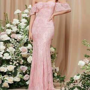 Brand NWT Maxi Pink Dress